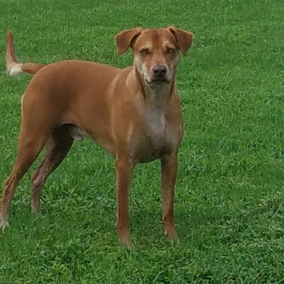 Meet your Posher, Ms R - Picture 2 of 4